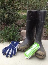Scrub boots with a stiff-bristled brush. Photo by Michelle Lande.